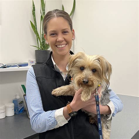 cranbourne vet|cranbourne south vet clinic.
